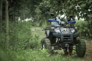atv-200-forest-trail-3