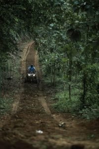 atv-200-forest-trail-7
