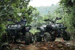 atv-200-forest-trail-8